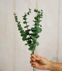 Artificial Eucalyptus Sticks Set of 10 | Natural Green