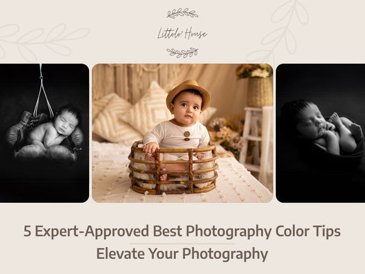 5 Expert-Approved Best Photography Color Tips: Elevate Your Photography