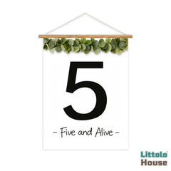 Milestone Scroll Banner 5th Birthday D211 Set of 1 | M | Black White