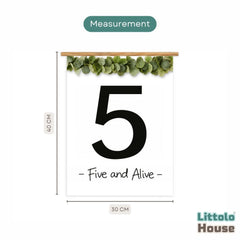 Milestone Scroll Banner 5th Birthday D211 Set of 1 | M | Black White