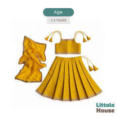 Baby Girl Traditional Lehenga Choli with Dupatta Outfit O221 | 1-2Y | Mustard Yellow