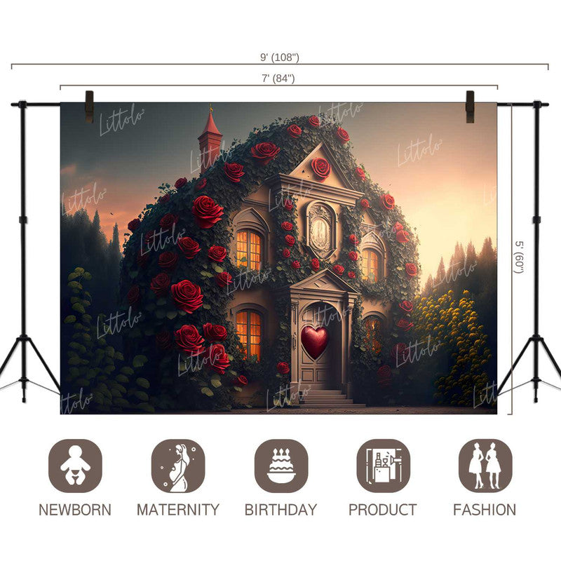 LB1233 Valentine's Day Backdrop