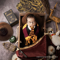 Hamlet Books Set of 1 D016 | Decorative Add-ons | Multicolour