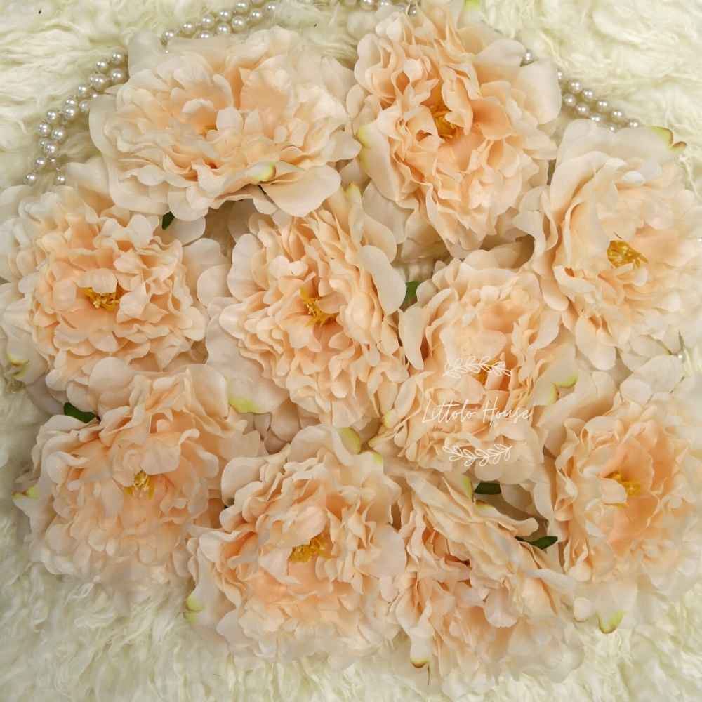 Artificial Daisy Peony Flower Heads F063 Pack of 10 | Peach