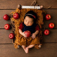 Artificial Apple Fruits Set of 5 D014 | Decorative Add-ons | Red
