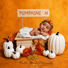 Artificial Harvest Halloween Pumpkins 7 PCS in Assorted Sizes D007 | Decorative Add-ons | White