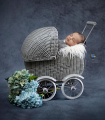 Baby Stroller | Metal | Grey