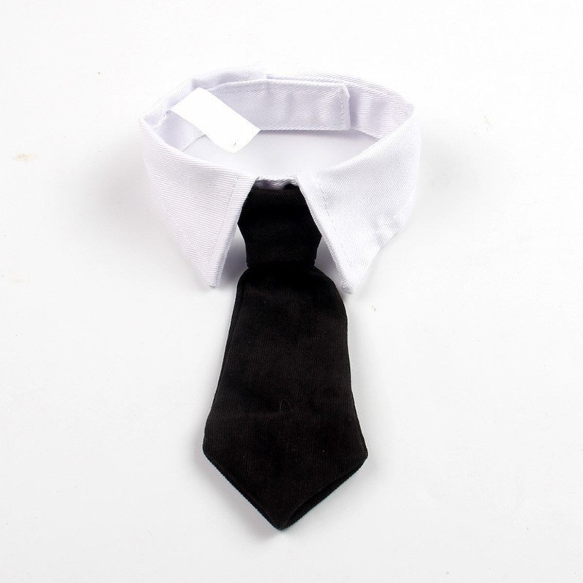 Baby Tie Collar O083 | NB | Black