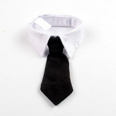 Baby Tie Collar O083 | NB | Black