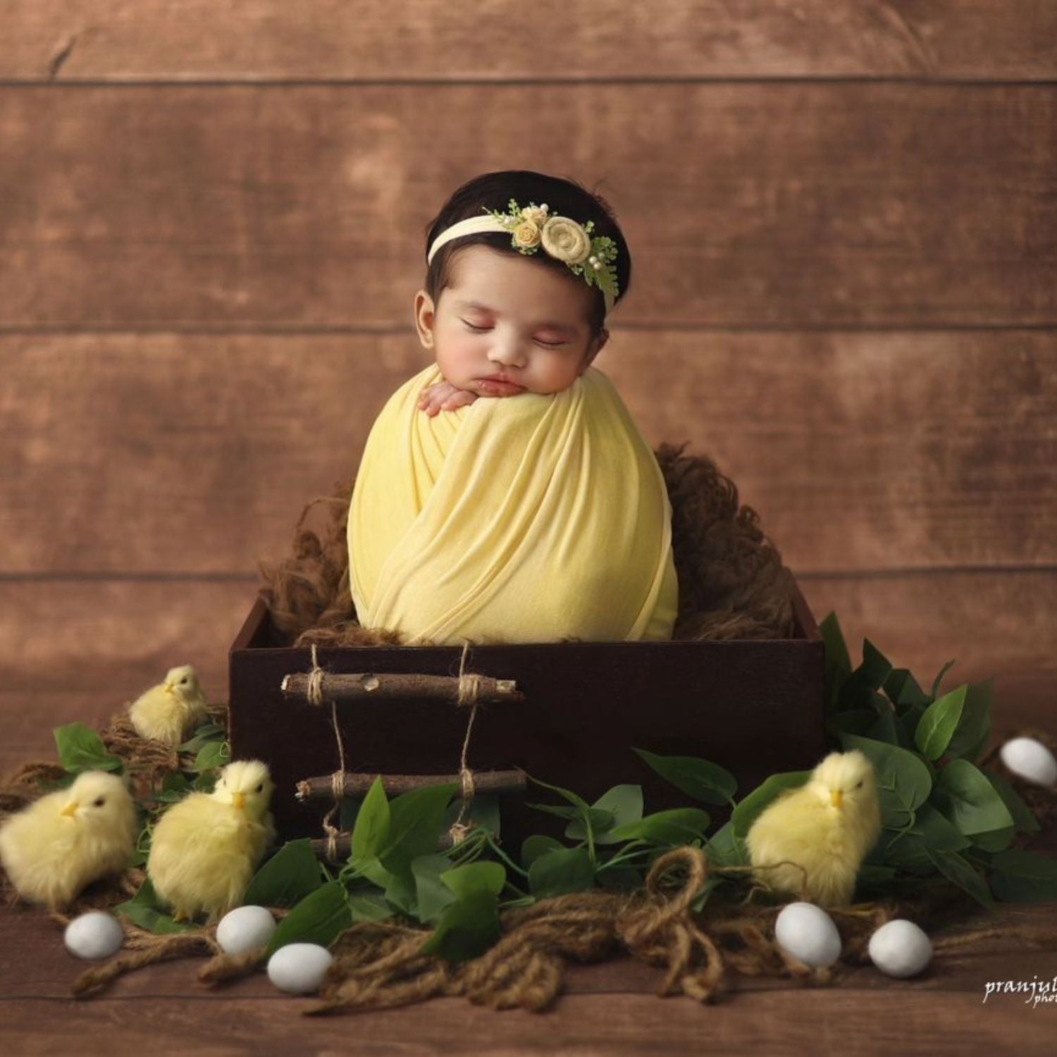 Baby Chick baby shoot
