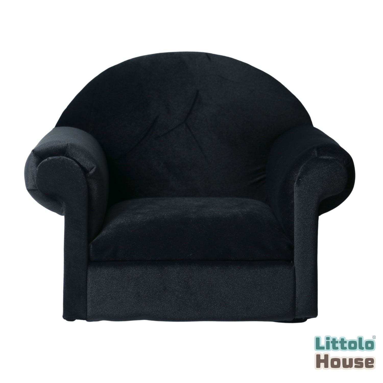 Stylish Arm Chair Sofa | Wooden Decorative | Black