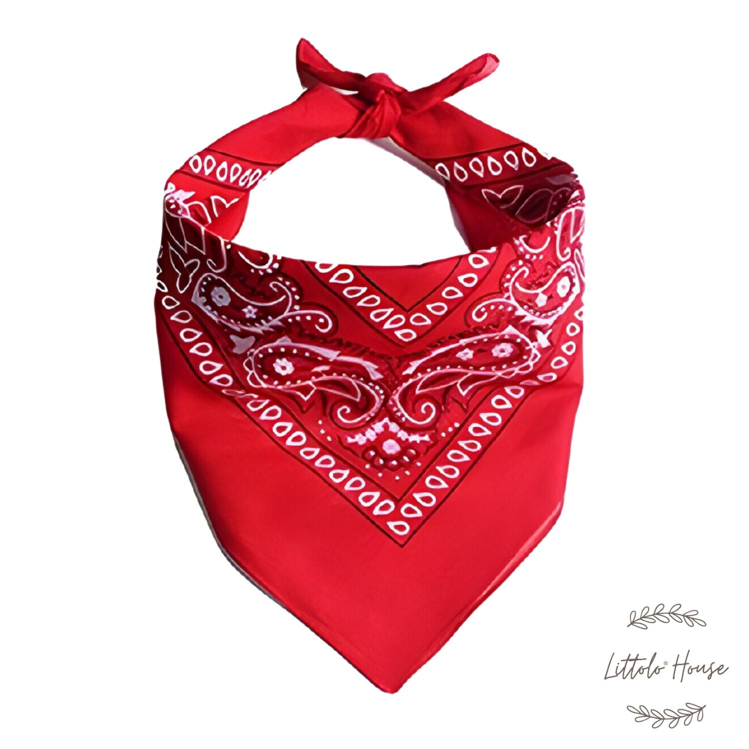 Cowboy Hat with Red Scarf B030 | 1Y | Red Black