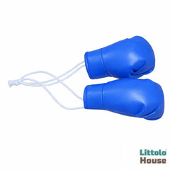 Boxing Gloves D067 | Pack of 1 Pair | Blue