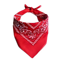 Cowboy Hat with Red Scarf B028 | 1Y | Beige