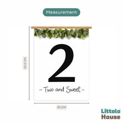 Milestone Scroll Banner 2nd Birthday D208 Set of 1 | M | Black White