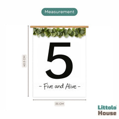 Milestone Scroll Banner 5th Birthday D211 Set of 1 | M | Black White