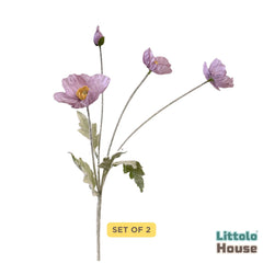 Iceland Poppy Flower F111 | Bunch of 2 | Grape Purple