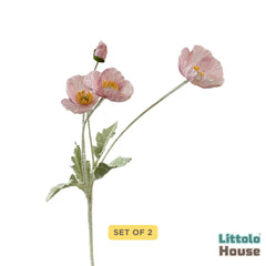 Iceland Poppy Flower F111 | Bunch of 2 | Light Pink