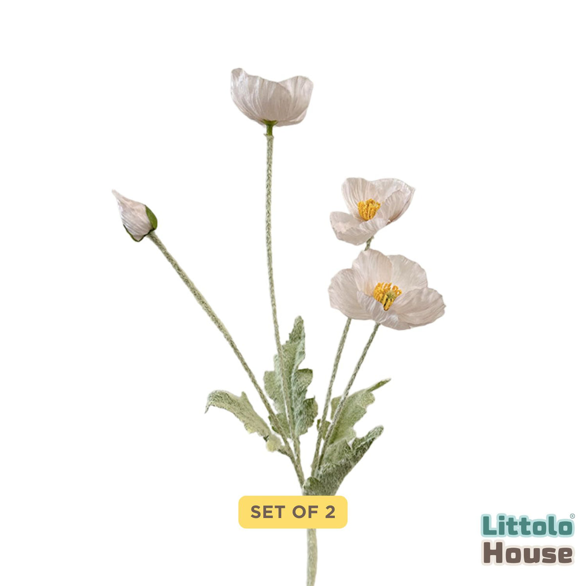 Iceland Poppy Flower F111 | Bunch of 2 | White