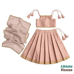 Baby Girl Traditional Lehenga Choli with Dupatta Outfit O221 | 1-2Y | Pastel Pink