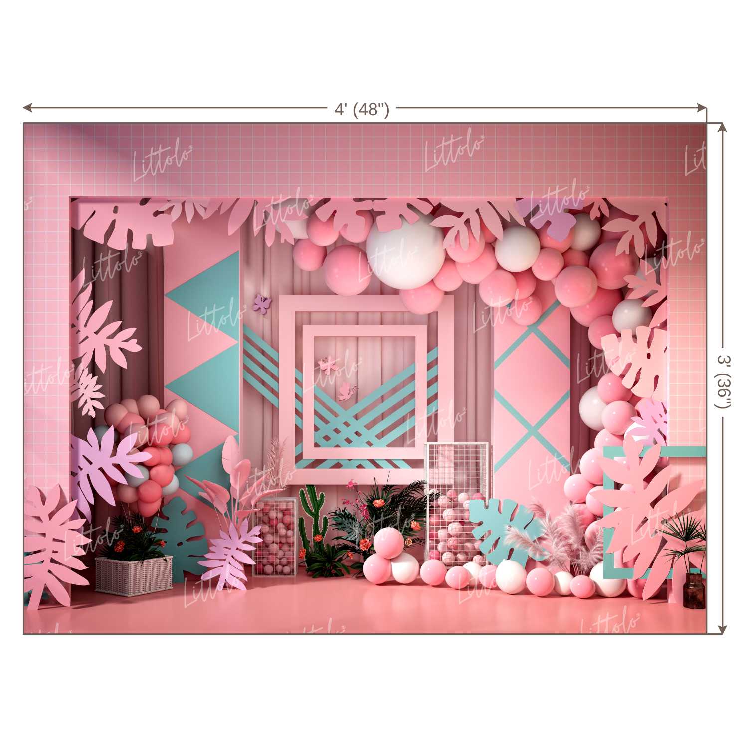 LB0006 Balloons and Cake Smash Backdrop