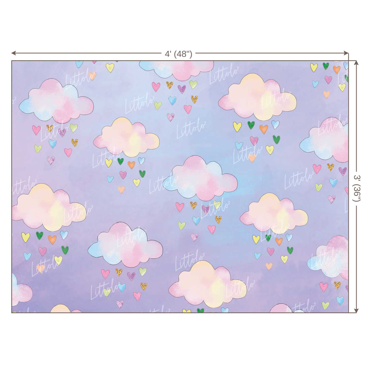 LB0010 Clouds Theme Backdrop