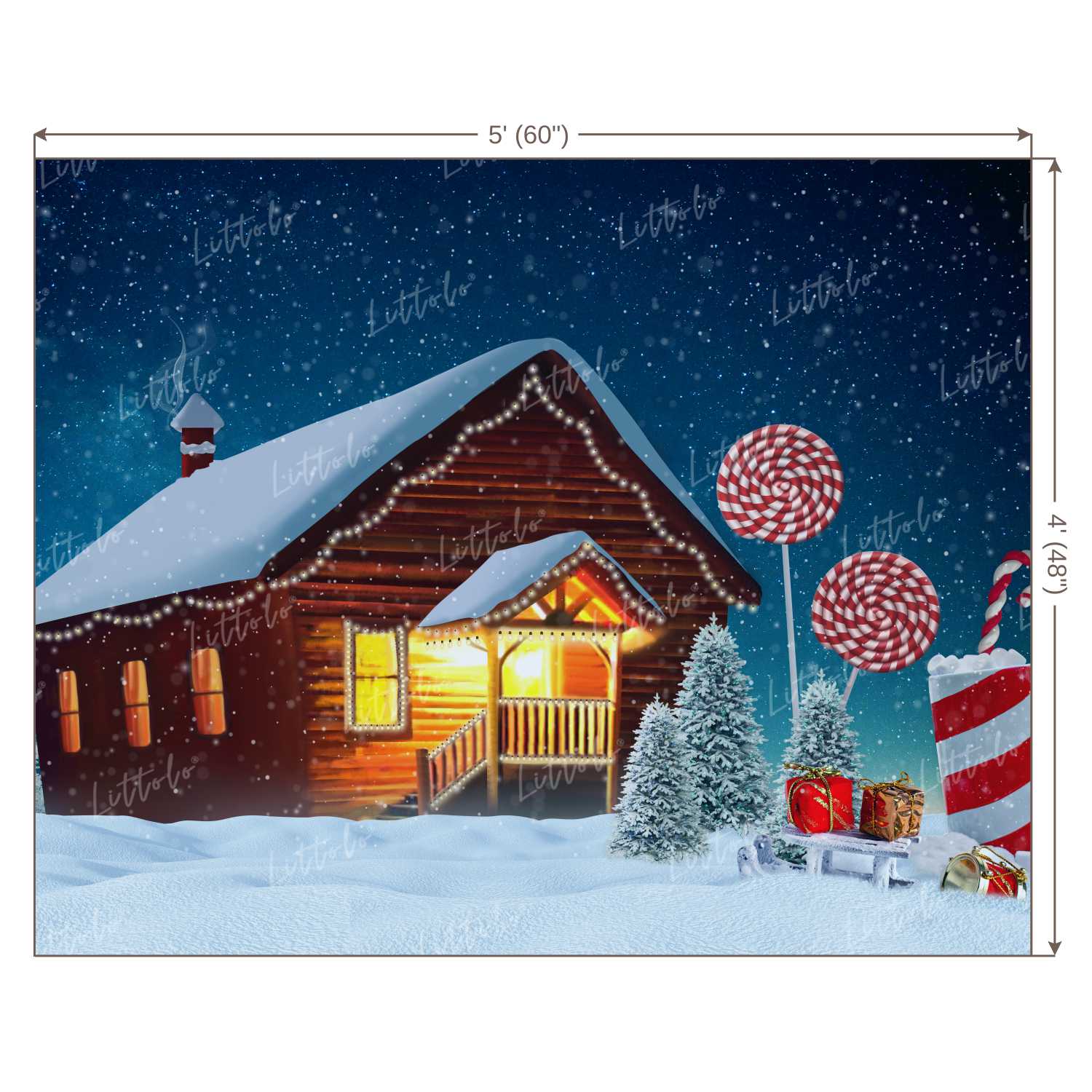 LB0020 Christmas House Outdoors Theme Backdrop