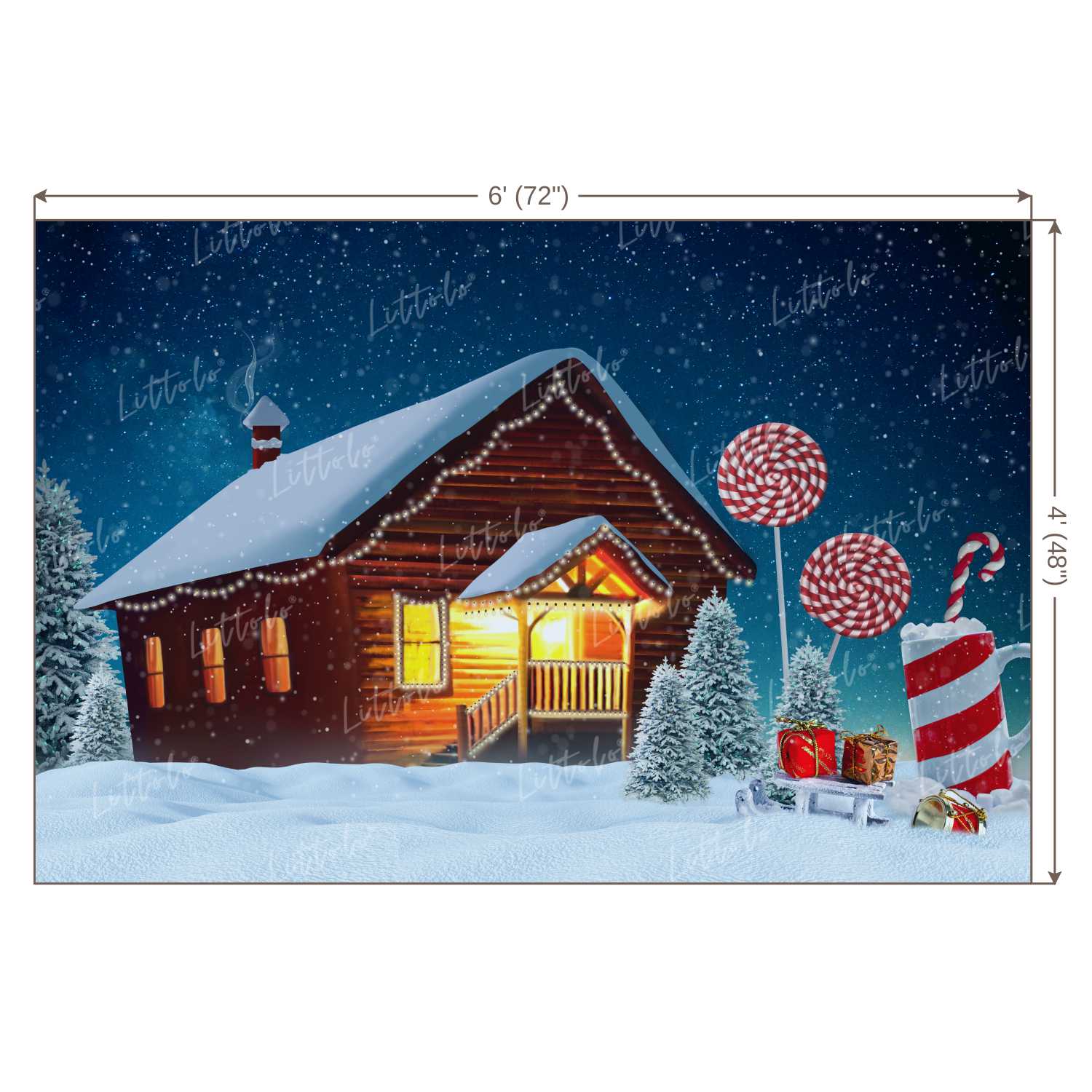 LB0020 Christmas House Outdoors Theme Backdrop