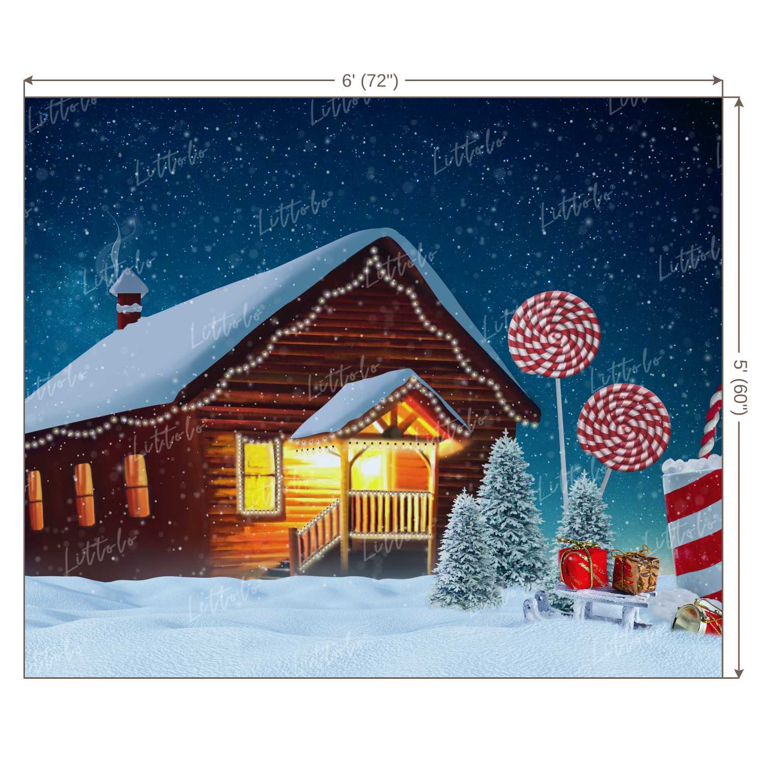 LB0020 Christmas House Outdoors Theme Backdrop