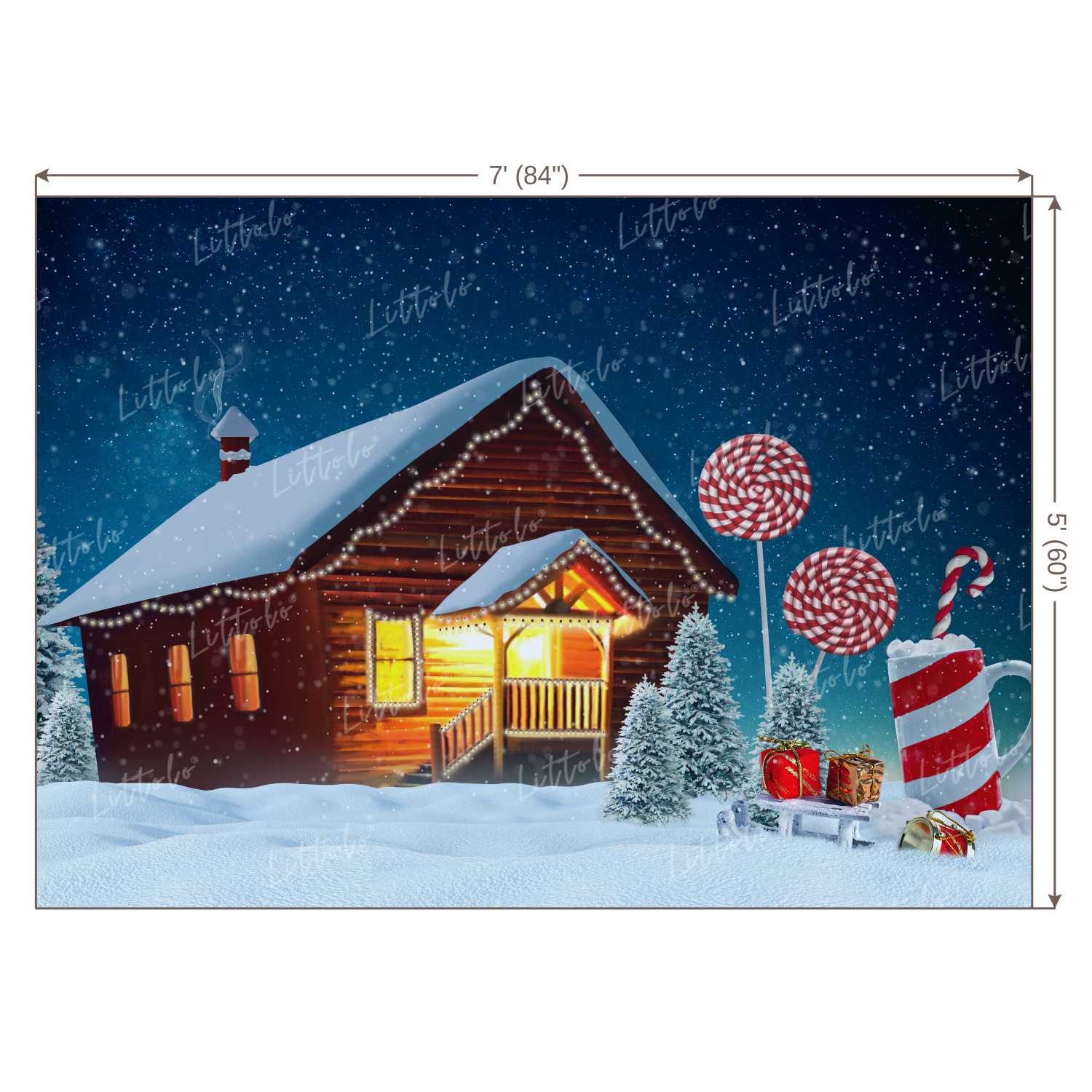 LB0020 Christmas House Outdoors Theme Backdrop