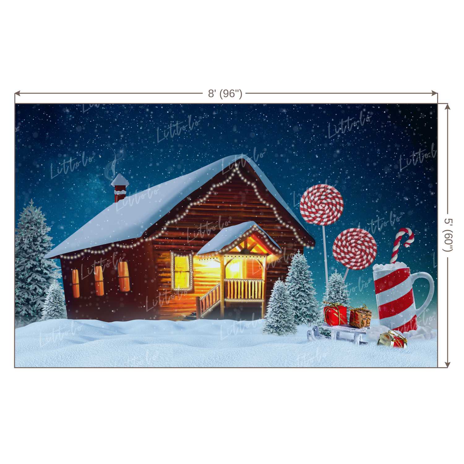 LB0020 Christmas House Outdoors Theme Backdrop