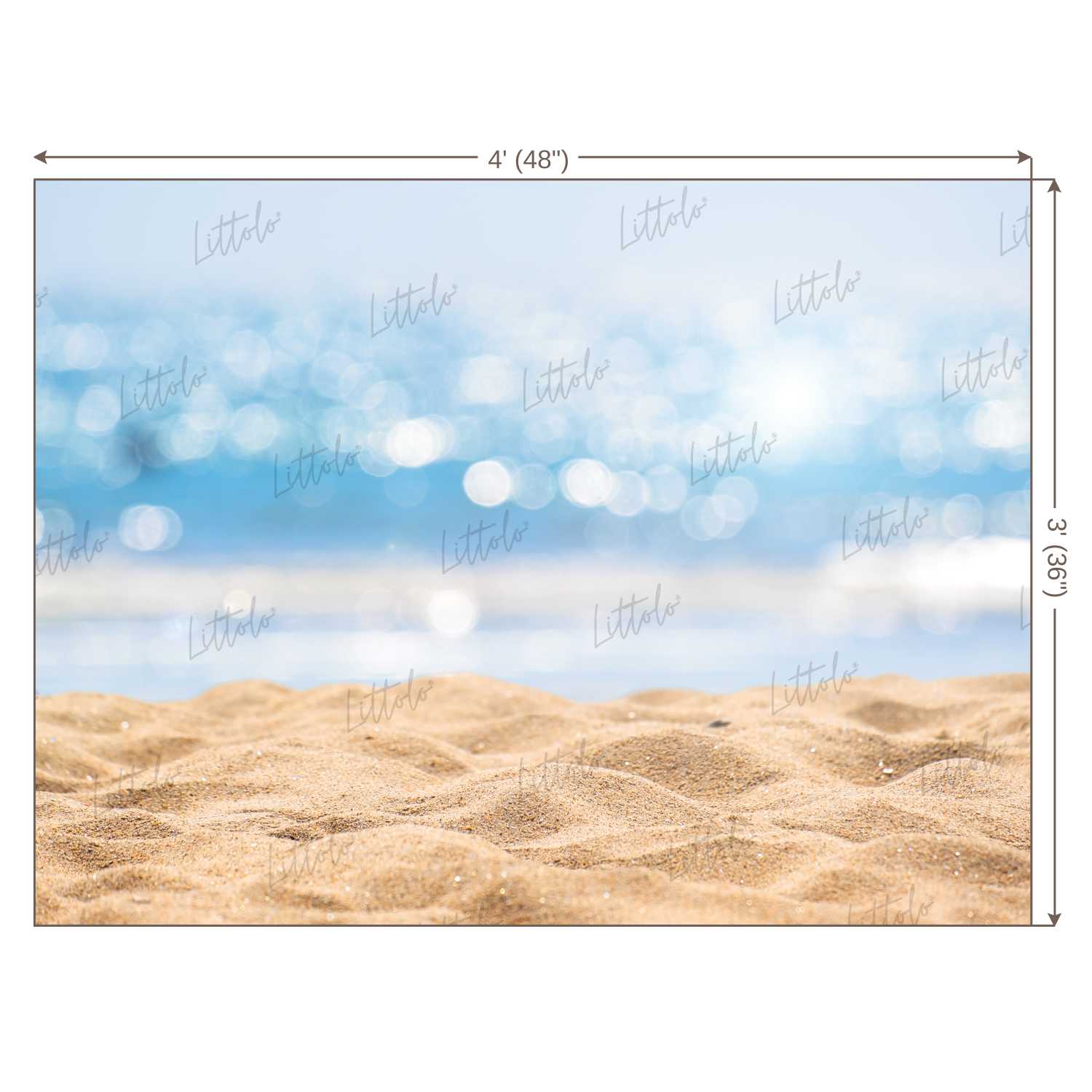 LB0021 Beach Sand Theme Backdrop