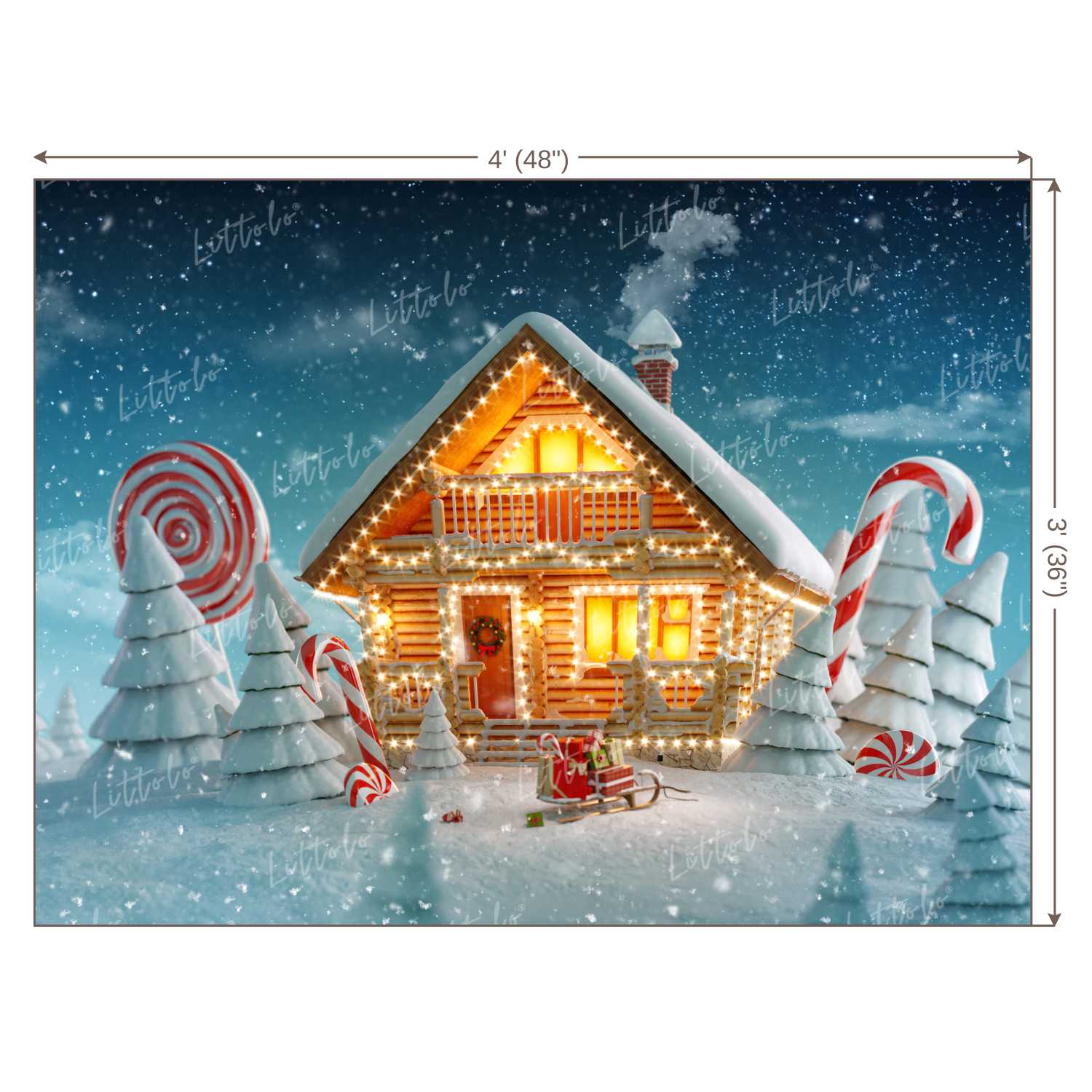 LB0022 Snowy Christmas House with lights Festivals and Seasons Backdrop