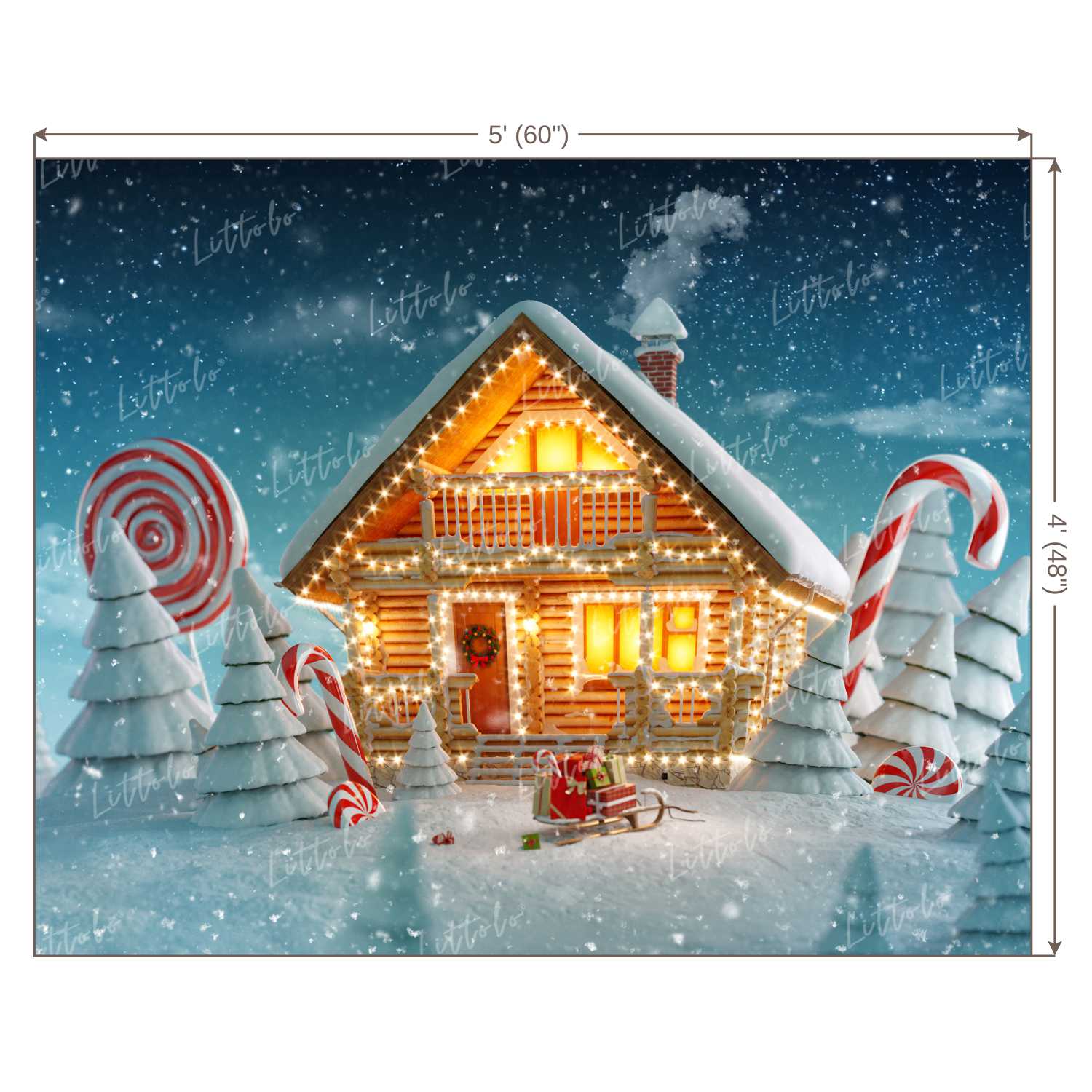 LB0022 Snowy Christmas House with lights Festivals and Seasons Backdrop