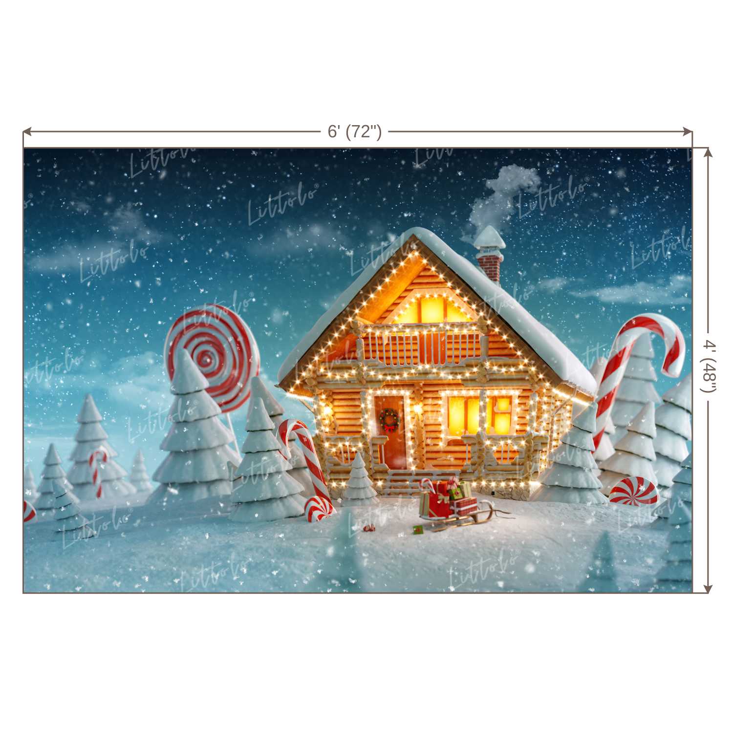 LB0022 Snowy Christmas House with lights Festivals and Seasons Backdrop