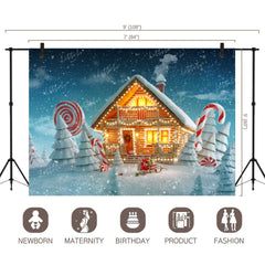 LB0022 Snowy Christmas House with lights Festivals and Seasons Backdrop