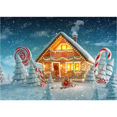 LB0022 Snowy Christmas House with lights Festivals and Seasons Backdrop