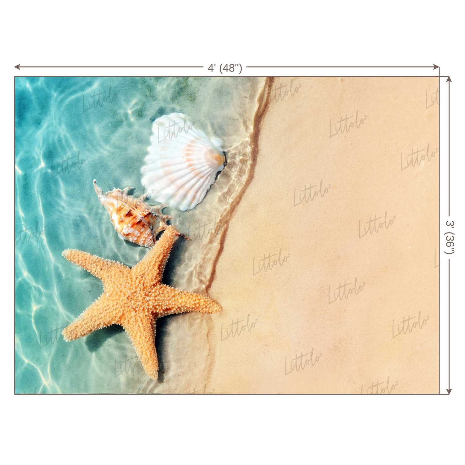 LB0024 Beach Star Fish 2 Theme Backdrop