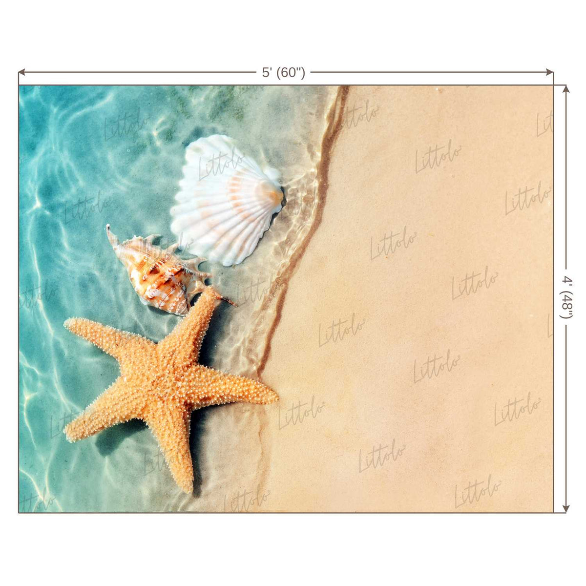 LB0024 Beach Star Fish 2 Theme Backdrop