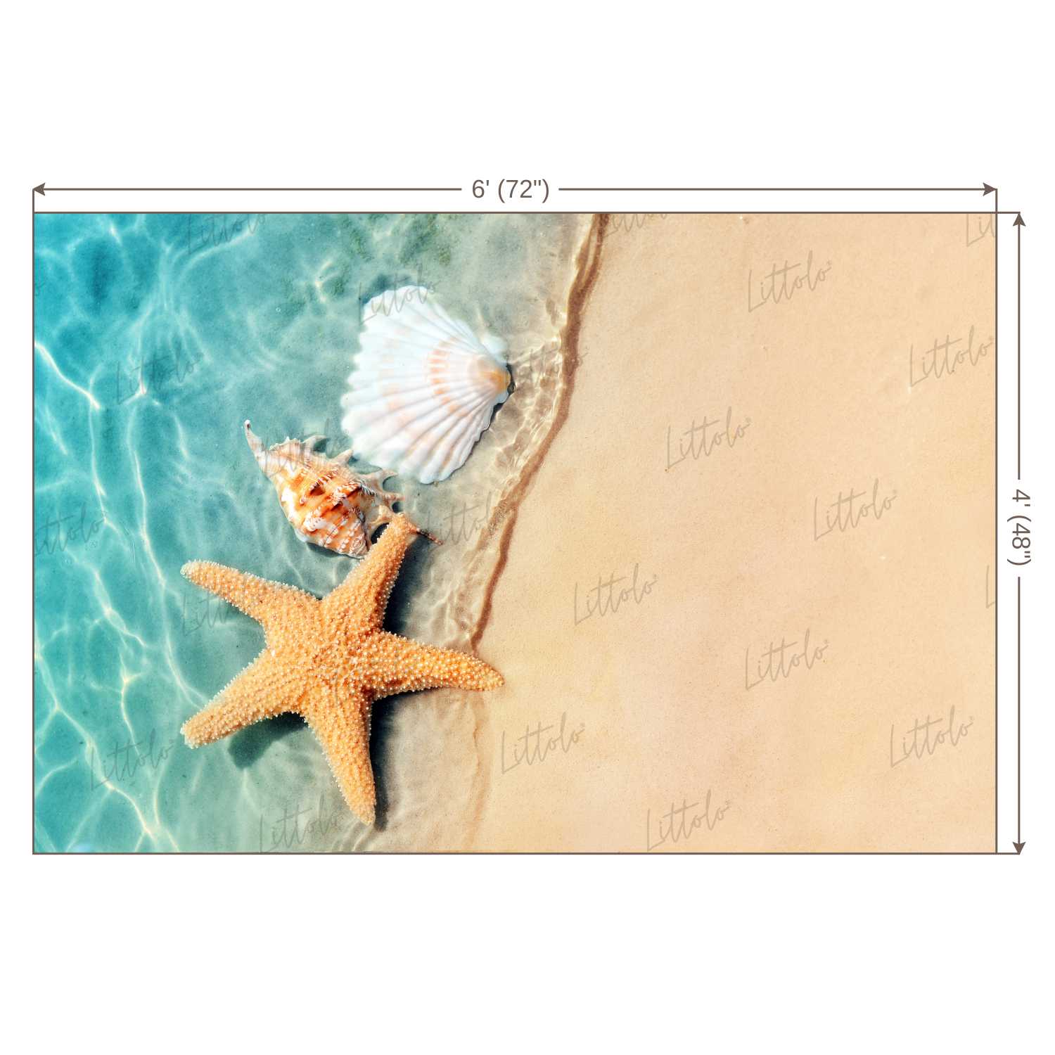 LB0024 Beach Star Fish 2 Theme Backdrop