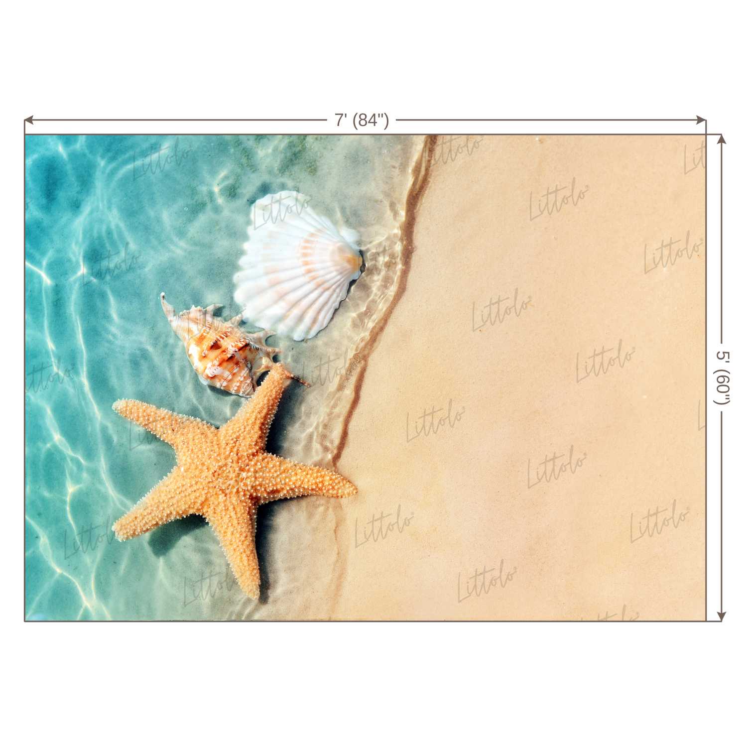 LB0024 Beach Star Fish 2 Theme Backdrop