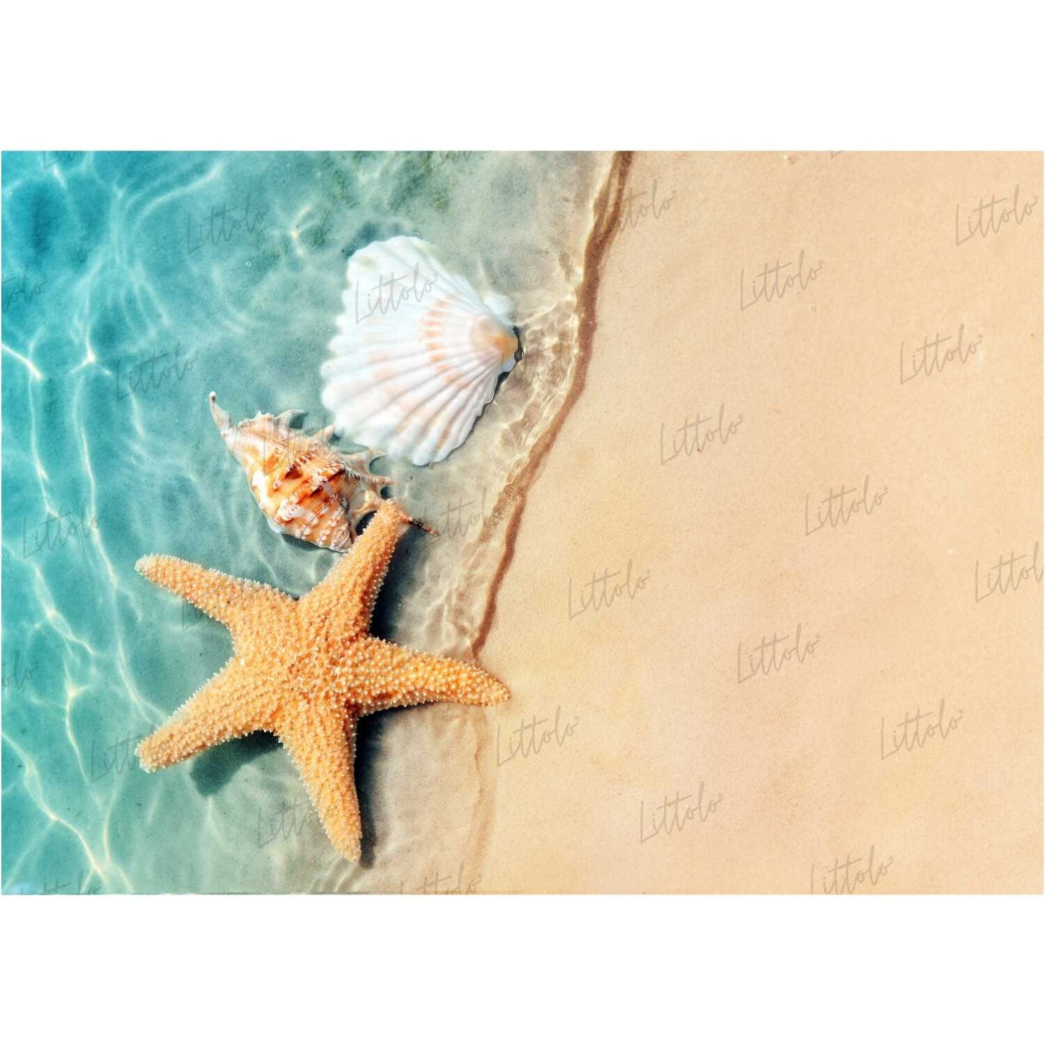 LB0024 Beach Star Fish 2 Theme Backdrop