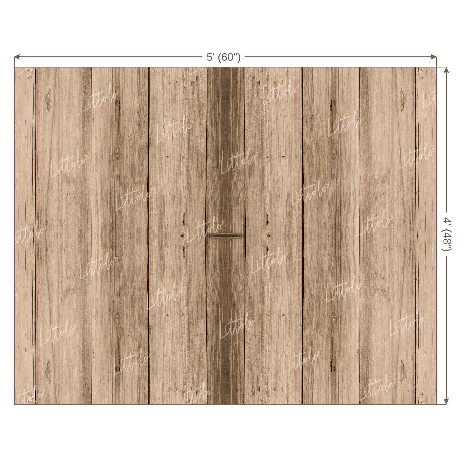 LB0077 Planks Backdrop