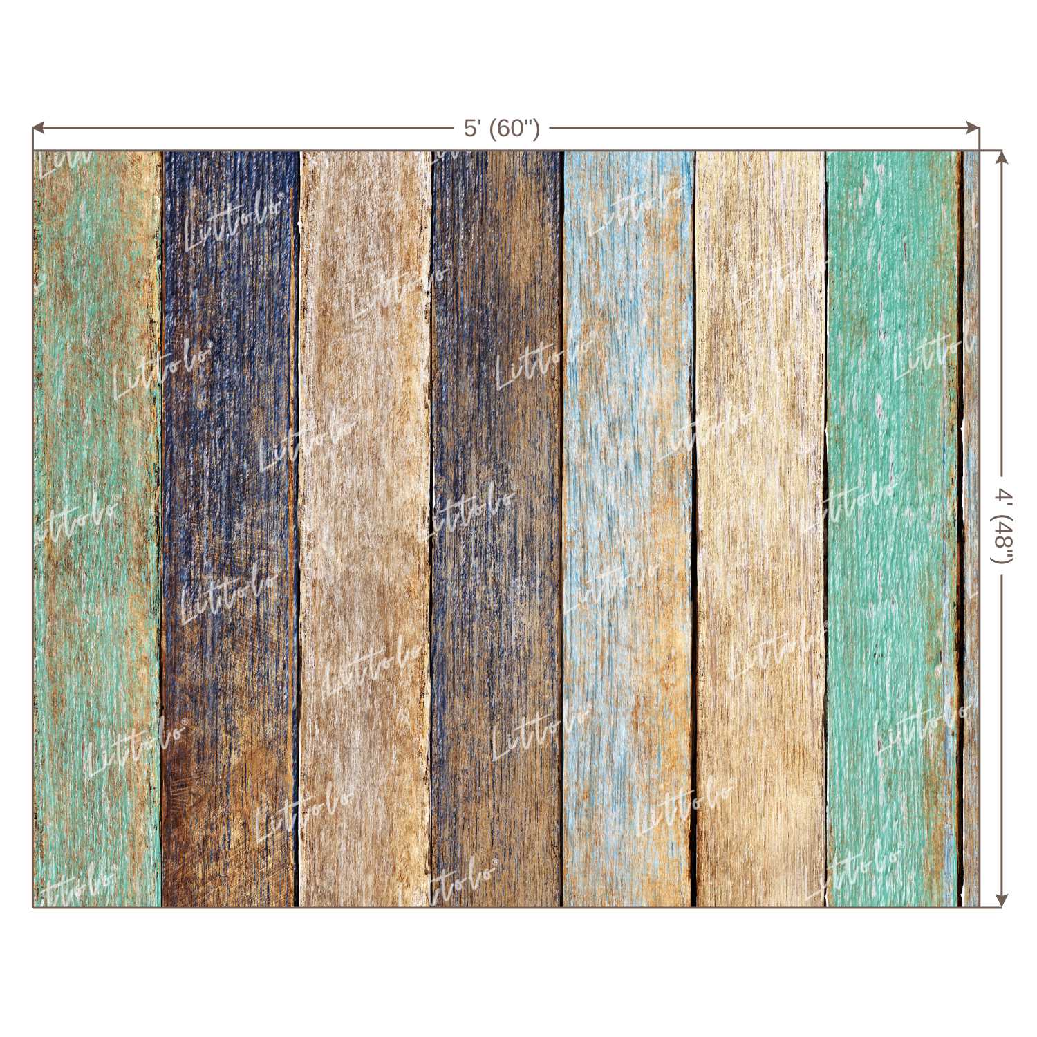 LB0080 Colourful Planks Backdrop