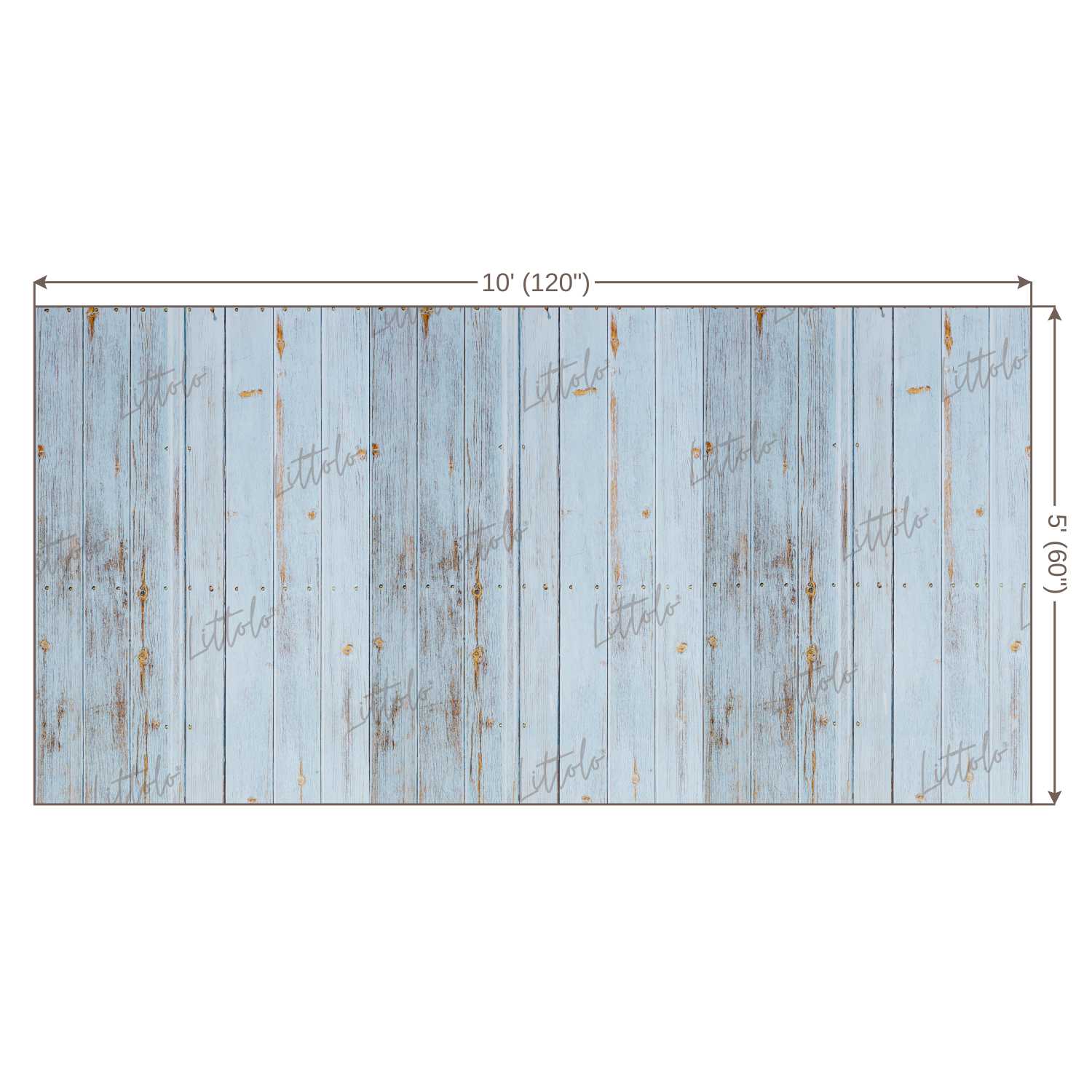 LB0110 Planks Backdrop