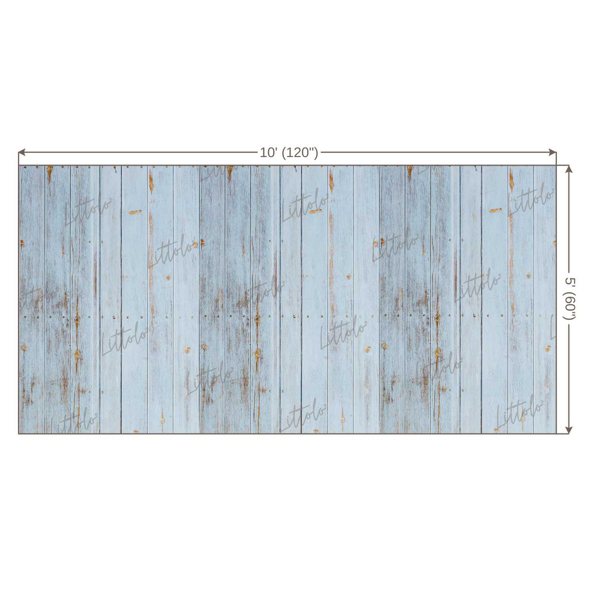 LB0110 Planks Backdrop