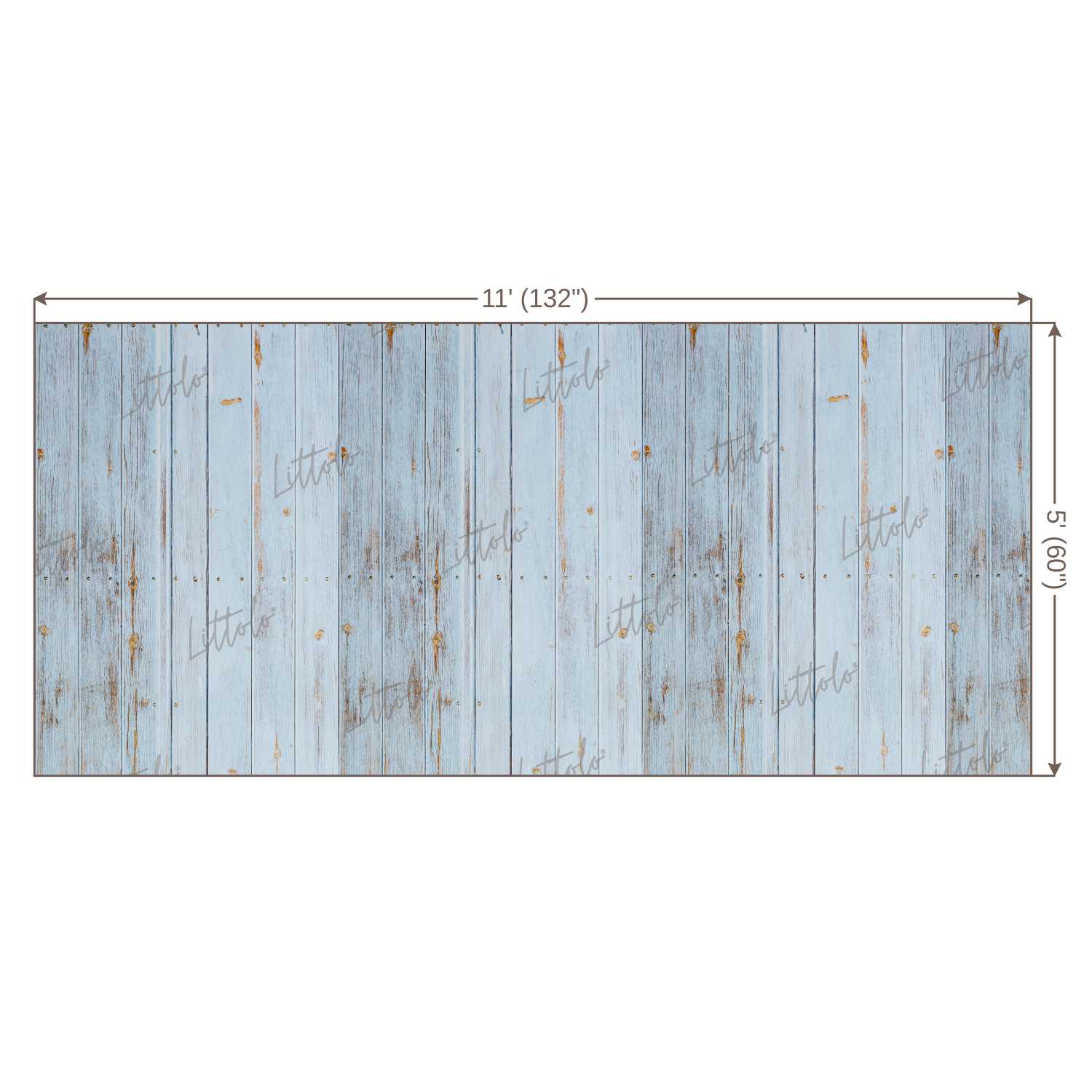 LB0110 Planks Backdrop