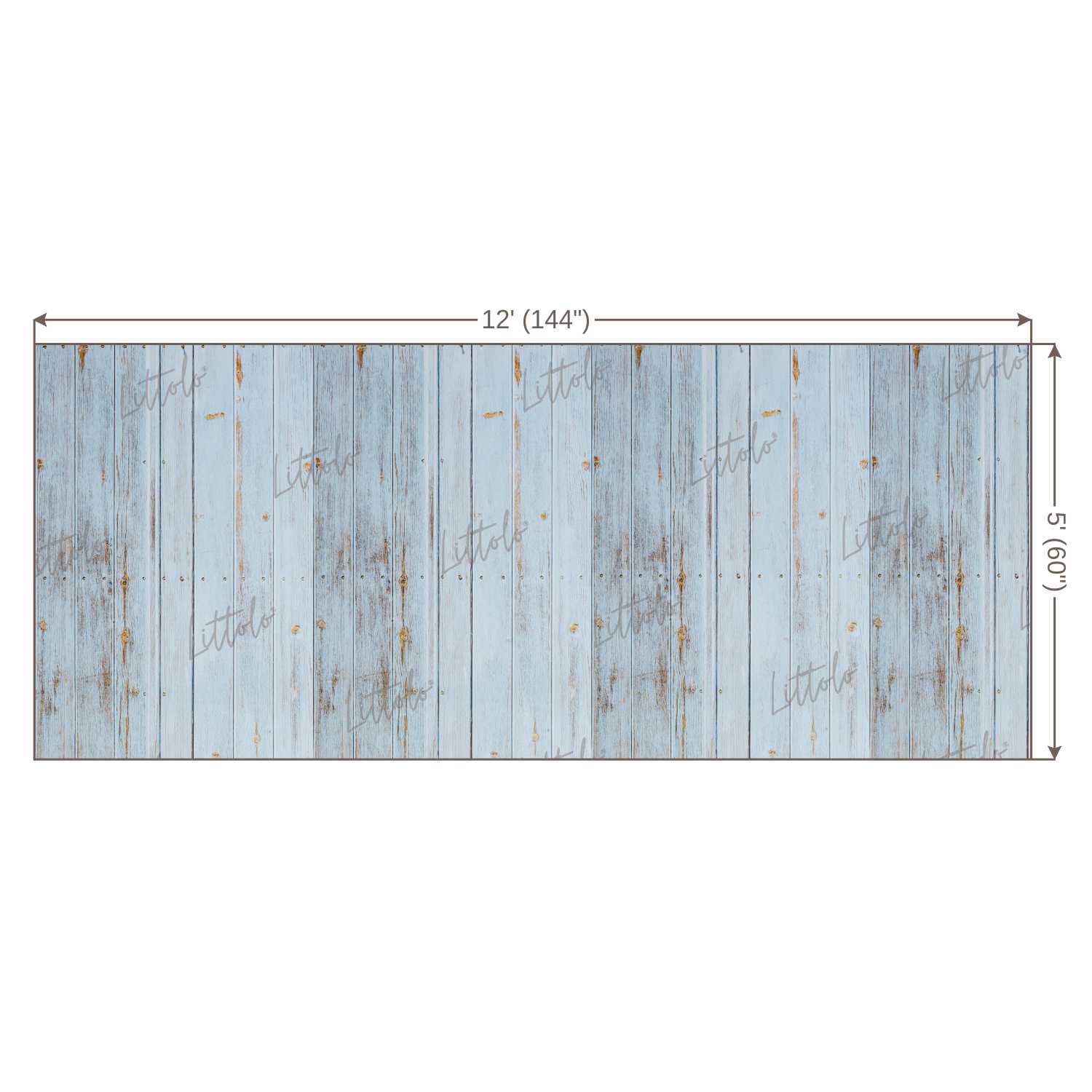 LB0110 Planks Backdrop