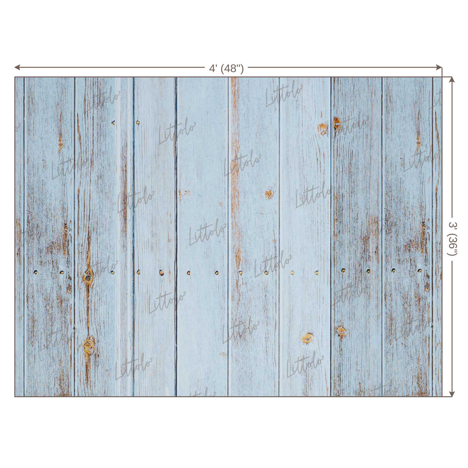 LB0110 Planks Backdrop