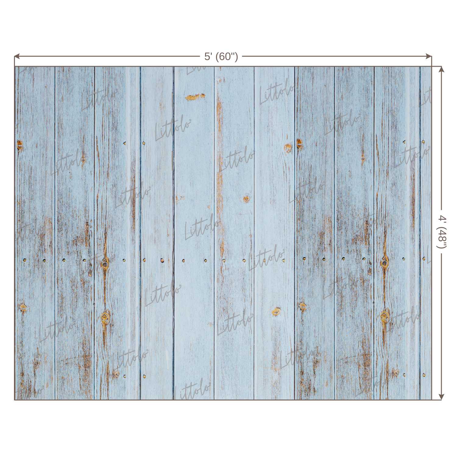 LB0110 Planks Backdrop